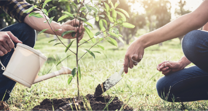 Sowing the seeds of love